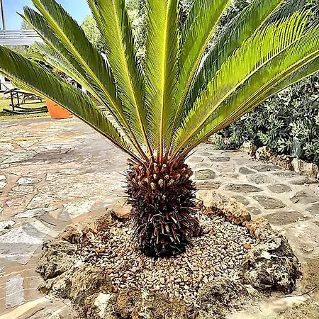 Lorelai * Marsala